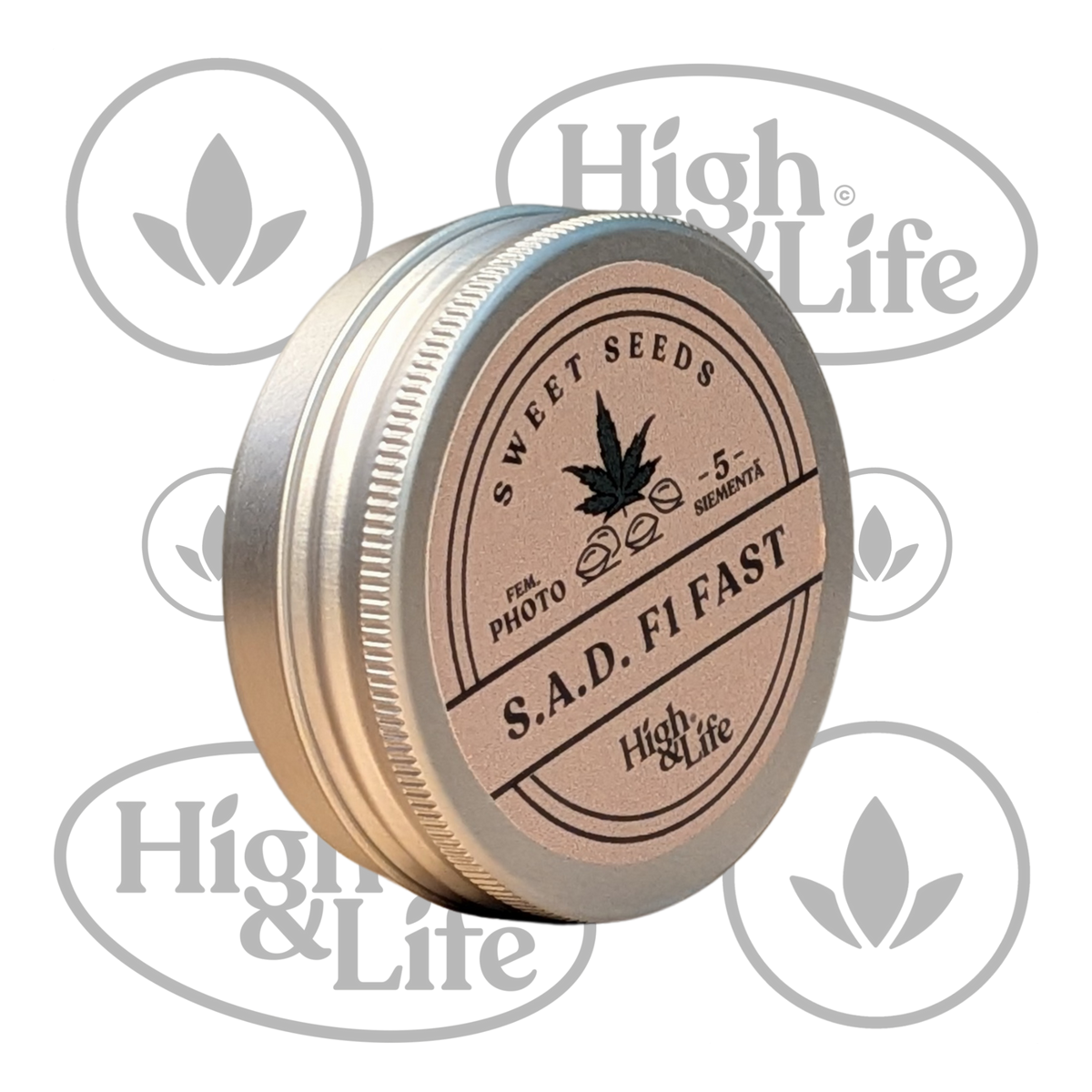 Osta S.A.D. F1 FAST kannabiksen siemenet High & Life Storesta