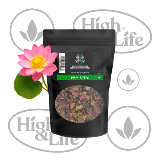 Osta Pink Lotus (Nelumbo Nucifera) High & Life Storesta