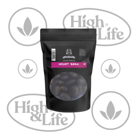 Osta Velvet Bean (Mucuna Pruriens) High & Life Storesta