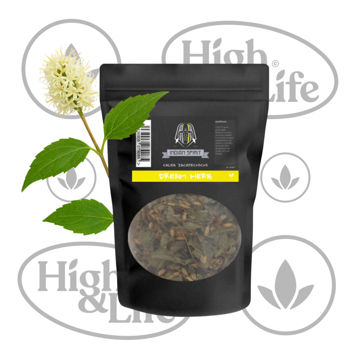 Osta Dream Herb (Calea Zacatechichi) High & Life Storesta