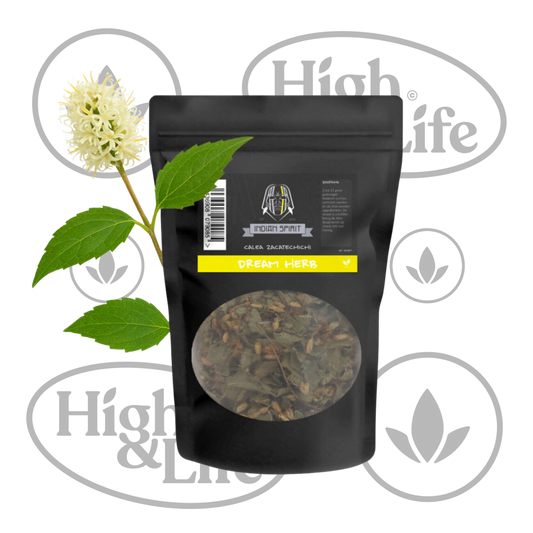 Osta Dream Herb (Calea Zacatechichi) High & Life Storesta