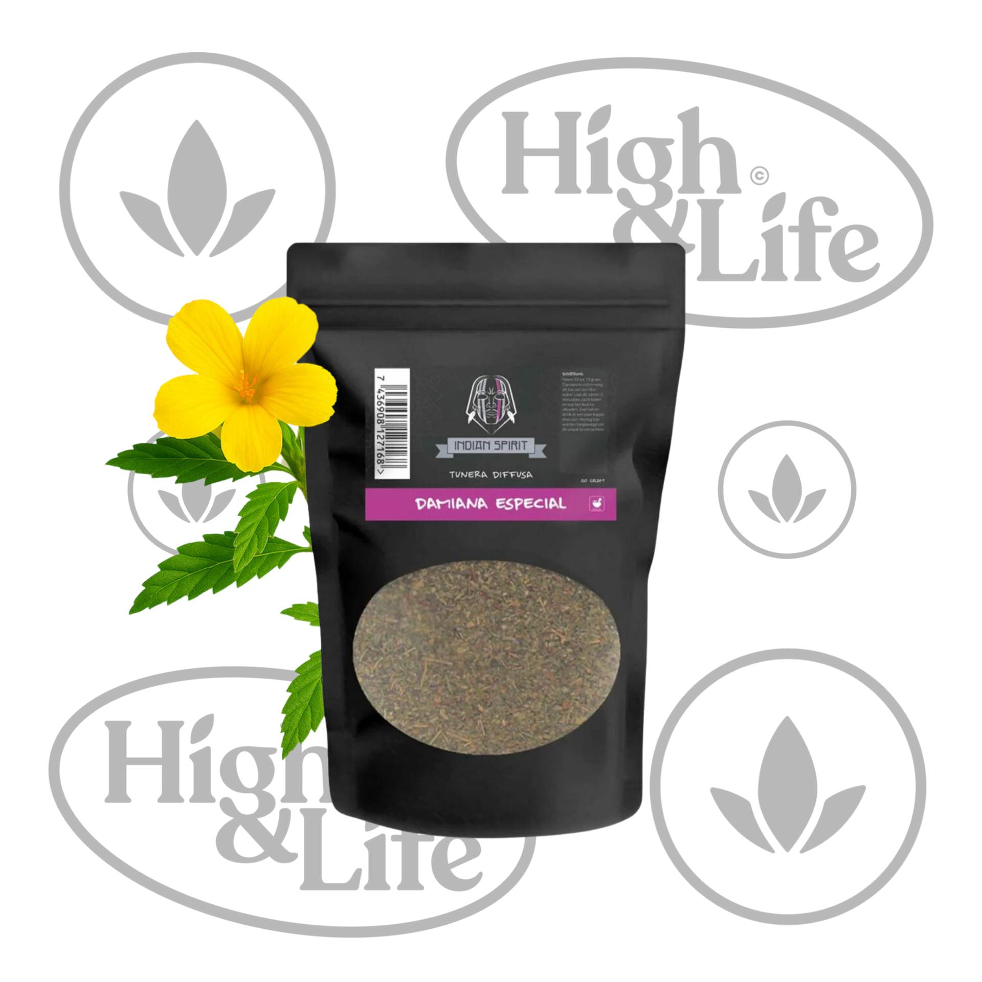damiana plant seeds Damiana (Turnera Diffusa) - (Indian Spirits) - ethnobotanical herbs