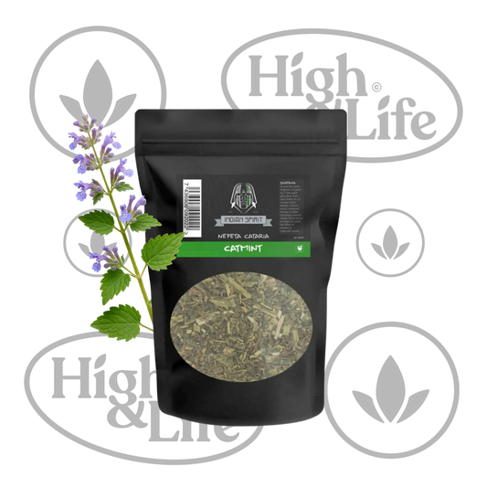 Osta Catmint (Nepeta Cataria) etnobotaaniset yrtit High & Life Storesta