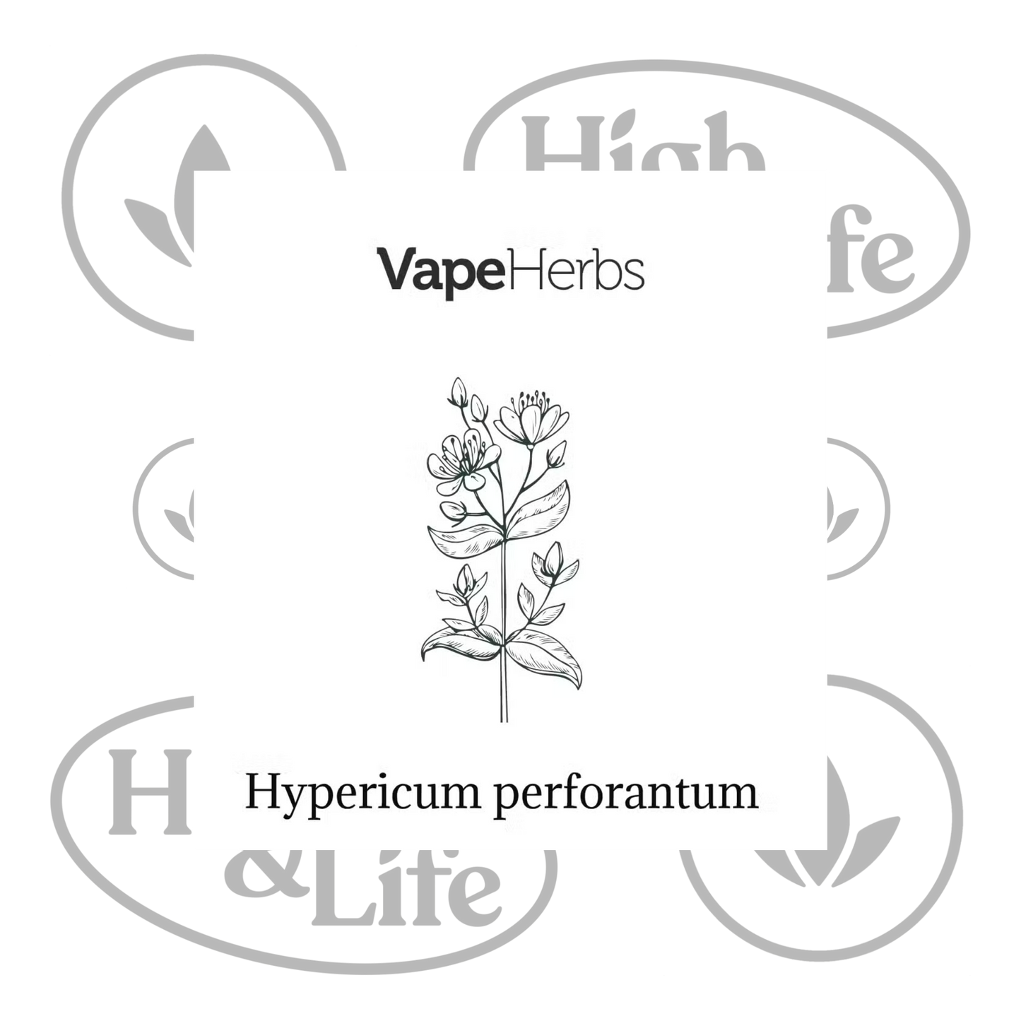 Osta St John’s Wort (Hypericum Perforatum) etnobotaaniset yrtit High & Life Storesta