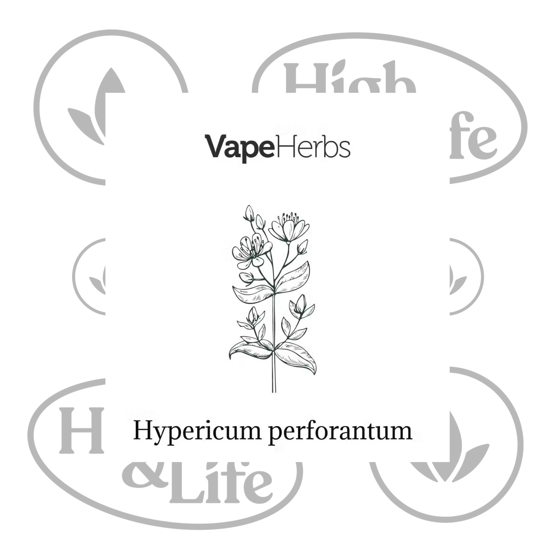 Osta St John’s Wort (Hypericum Perforatum) etnobotaaniset yrtit High & Life Storesta