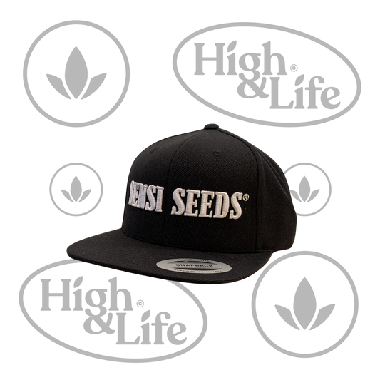 Osta Sensi Seeds lippalakki (musta) High & Life Storesta