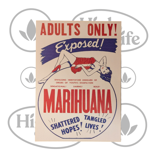 Osta Juliste: "Marihuana Exposed" High & Life Storesta