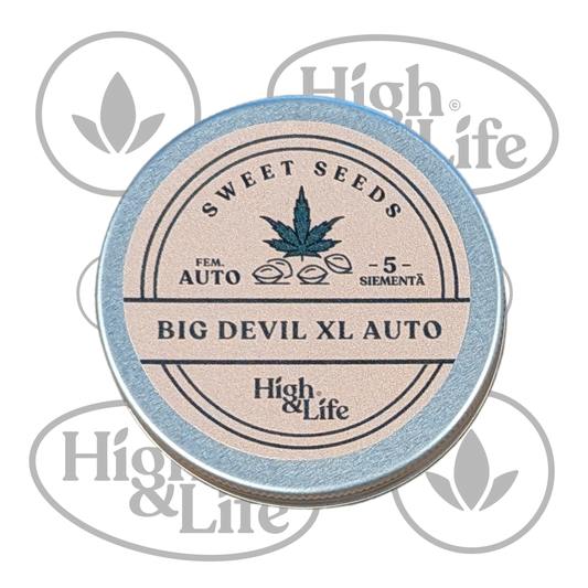 Osta Big Devil XL Auto (High & Life) kannabiksen siemenet High & Life Storesta