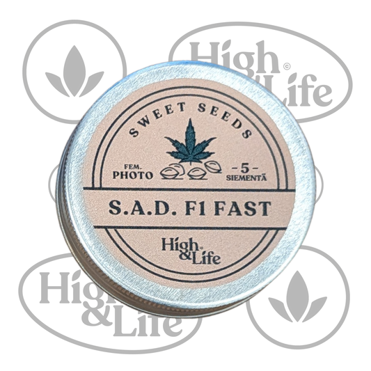 Osta S.A.D. F1 FAST (High & Life) kannabiksen siemenet High & Life Storesta