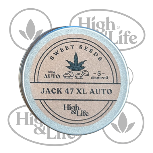 Osta Jack 47 XL Auto (High & Life) kannabiksen siemenet High & Life Storesta