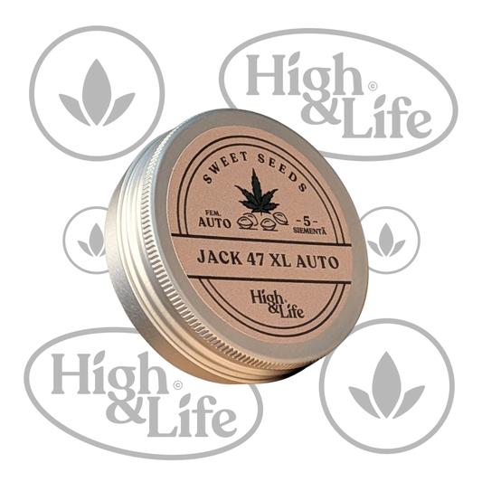 Osta Jack 47 XL Auto (High & Life) kannabiksen siemenet High & Life Storesta