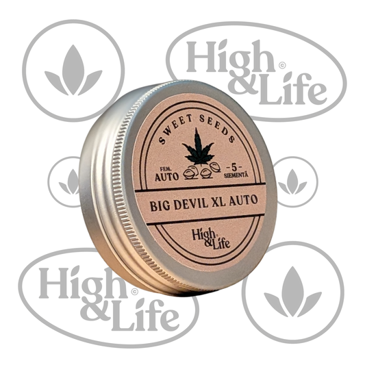 Osta Big Devil XL Auto (High & Life) kannabiksen siemenet High & Life Storesta