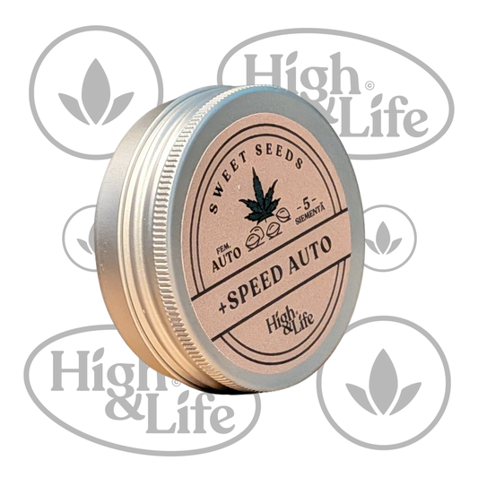 Osta Plus Speed Auto (High & Life) kannabiksen siemenet High & Life Storesta