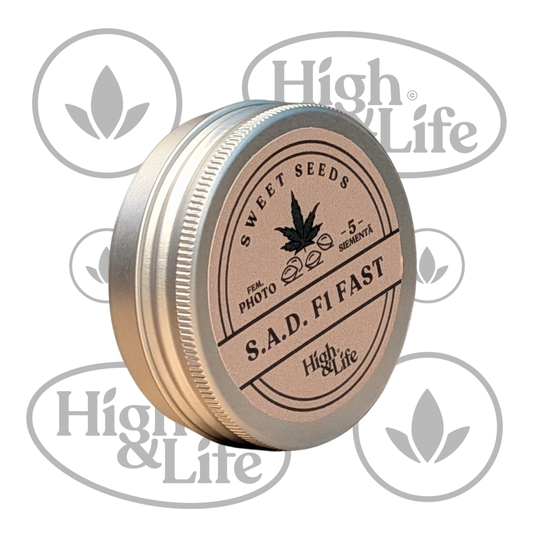 Osta S.A.D. F1 FAST (High & Life) kannabiksen siemenet High & Life Storesta