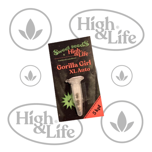 Osta Gorilla Girl XL Auto kannabiksen siemenet High & Life Storesta
