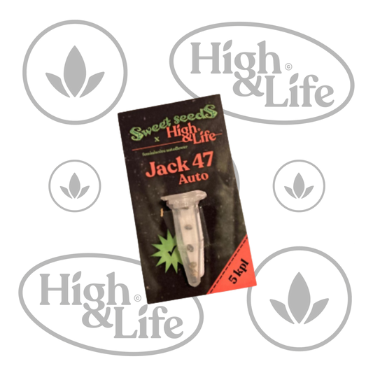 Osta Jack 47 Auto kannabiksen siemenet High & Life Storesta