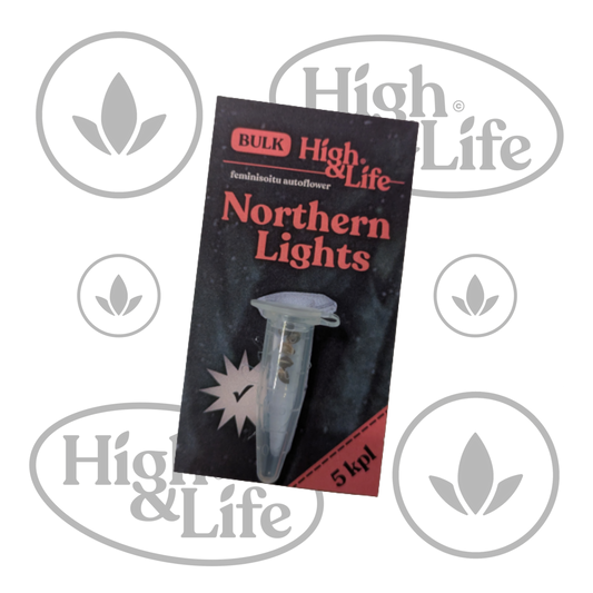 Osta High & Life Northern Lights Auto kannabiksen siemenet High & Life Storesta