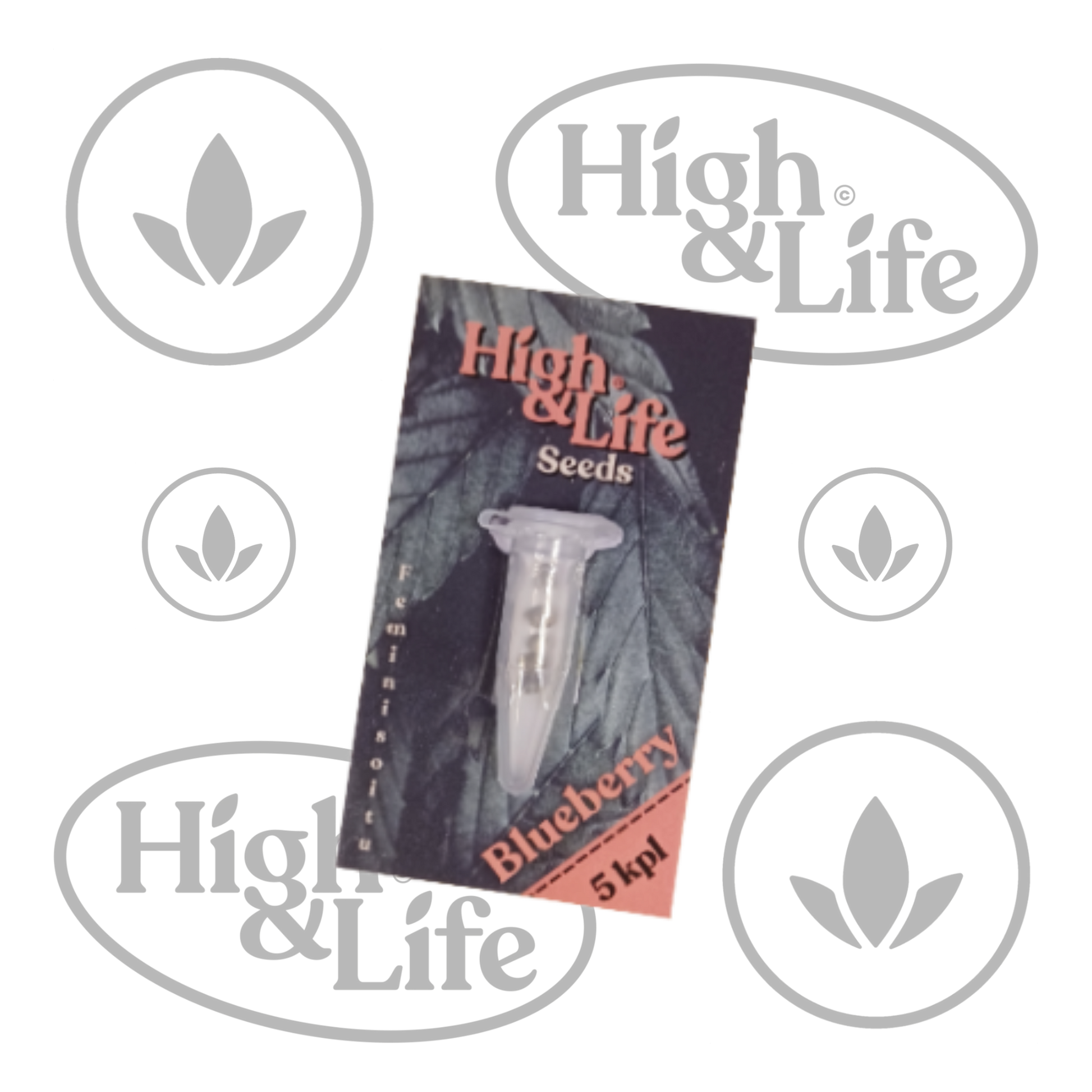 Osta High & Life Blueberry kannabiksen siemenet High & Life Storesta