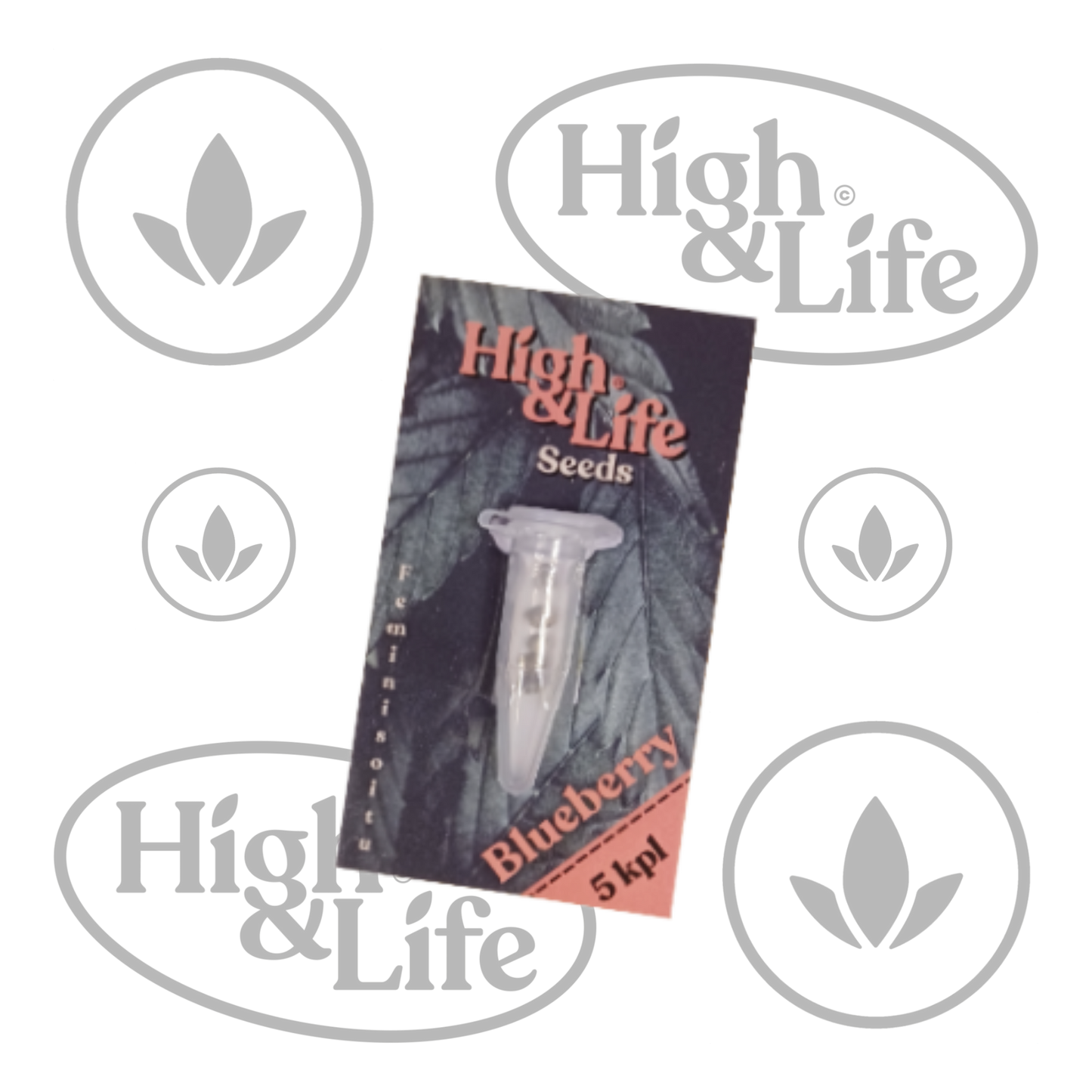 Osta High & Life Blueberry kannabiksen siemenet High & Life Storesta