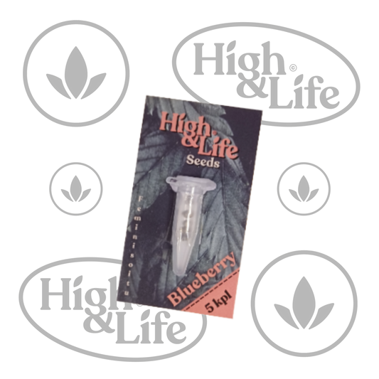 Osta High & Life Blueberry kannabiksen siemenet High & Life Storesta
