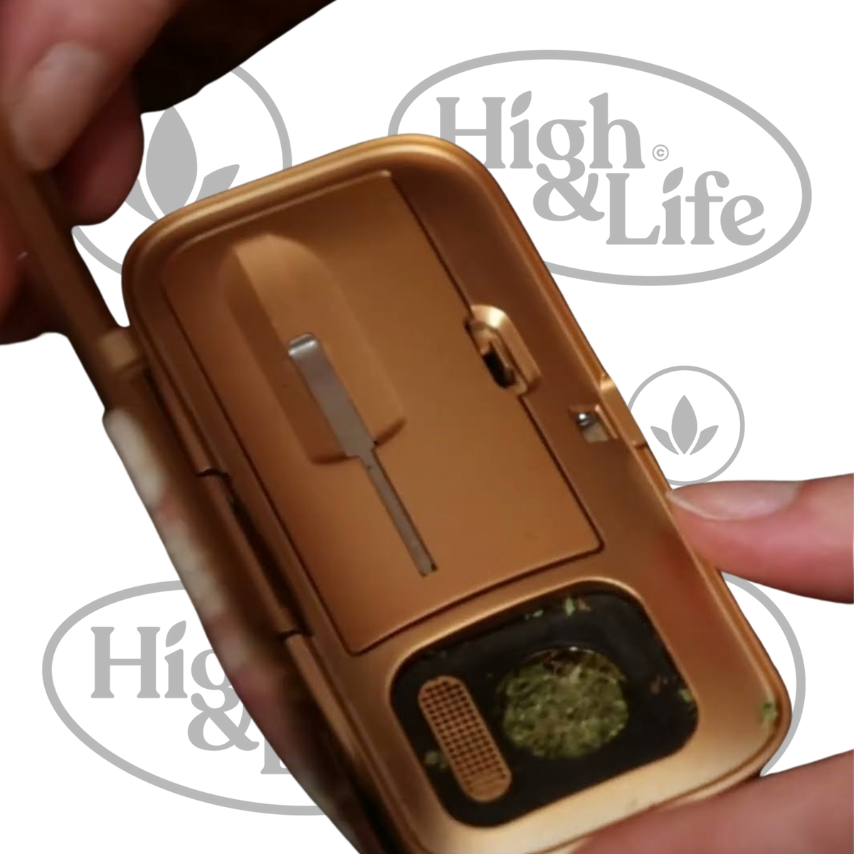 Legacy Core (Rose Gold)